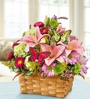 Garden Inspiration Basket from Olney's Flowers of Rome in Rome, NY