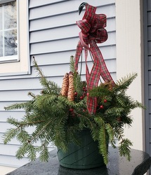 Holiday Hanging Basket from Olney's Flowers of Rome in Rome, NY