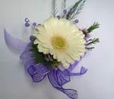 White Gerbera Wrist Corsage from Olney's Flowers of Rome in Rome, NY