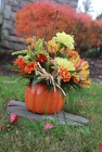 Pumpkin Wonder from Olney's Flowers of Rome in Rome, NY