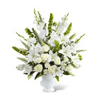 The FTD Morning Stars Arrangement from Olney's Flowers of Rome in Rome, NY