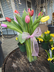 Timeless Tulips from Olney's Flowers of Rome in Rome, NY