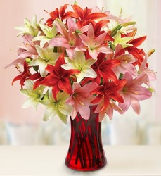 For the love of Lilies from Olney's Flowers of Rome in Rome, NY