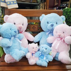 Baby Plush from Olney's Flowers of Rome in Rome, NY
