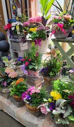 Indoor Dishgardens from Olney's Flowers of Rome in Rome, NY
