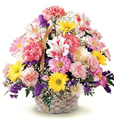 Basket Of Cheer - Pastel Basket from Olney's Flowers of Rome in Rome, NY