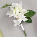 White Stephanotis Boutonniere from Olney's Flowers of Rome in Rome, NY