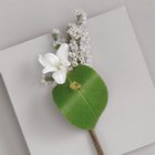 Stephanotis & Leaf Boutonniere from Olney's Flowers of Rome in Rome, NY