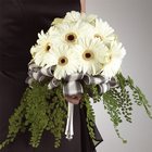 Gerbera Daisy Bouquet from Olney's Flowers of Rome in Rome, NY