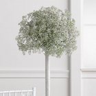 Baby's Breath Topiary Centerpiece from Olney's Flowers of Rome in Rome, NY