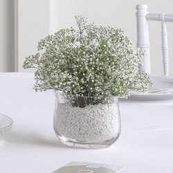 Baby's Breath Vase Arrangement from Olney's Flowers of Rome in Rome, NY