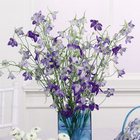 Tall Lavender Vase Arrangement from Olney's Flowers of Rome in Rome, NY