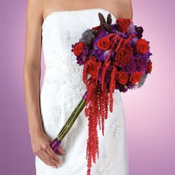 Purple & Red Bridal Bouquet from Olney's Flowers of Rome in Rome, NY