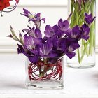 Miniature Purple Gladiolus Arrangement from Olney's Flowers of Rome in Rome, NY