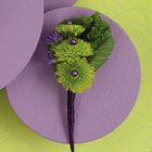 Green & Purple Boutonniere from Olney's Flowers of Rome in Rome, NY