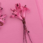 Pink Nerine Lily Boutonniere from Olney's Flowers of Rome in Rome, NY