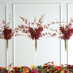Mokara Orchid Vase Arrangment from Olney's Flowers of Rome in Rome, NY