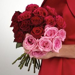 Mixed Rose Bridesmaid Bouquet from Olney's Flowers of Rome in Rome, NY