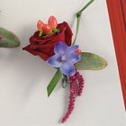 Red Rose Mixed Boutonniere from Olney's Flowers of Rome in Rome, NY