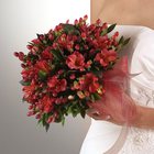 Red Alstromeria & Hypericum Bouquet from Olney's Flowers of Rome in Rome, NY