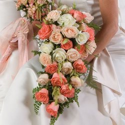 Peach Rose Cascade Bridal Bouquet from Olney's Flowers of Rome in Rome, NY