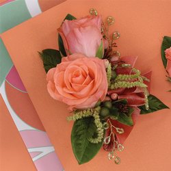 Peach Rose Corsage from Olney's Flowers of Rome in Rome, NY