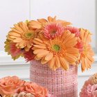 Tall Mixed Gerbera Reception Centerpiece from Olney's Flowers of Rome in Rome, NY