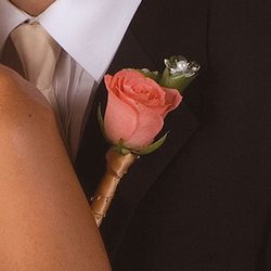 Peach Rose Boutonniere from Olney's Flowers of Rome in Rome, NY