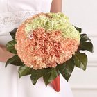 Mixed Carnation Bridal Bouquet from Olney's Flowers of Rome in Rome, NY