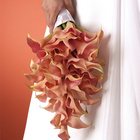 Peach Calla Lily Teardrop Bouquet from Olney's Flowers of Rome in Rome, NY