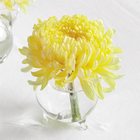 Single Yellow Chrysanthemum Vase Arrangement from Olney's Flowers of Rome in Rome, NY