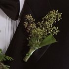 Seeded Eucalyptus Boutonniere from Olney's Flowers of Rome in Rome, NY