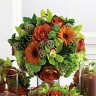 Green & Orange Reception Centerpiece Sphere from Olney's Flowers of Rome in Rome, NY
