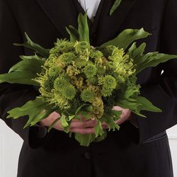 Green Bridal Bouquet from Olney's Flowers of Rome in Rome, NY