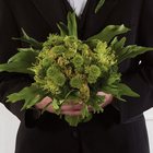 Green Bridal Bouquet from Olney's Flowers of Rome in Rome, NY