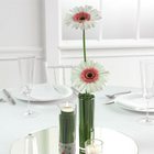 Basic Gerbera Centerpiece from Olney's Flowers of Rome in Rome, NY
