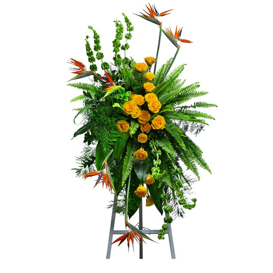 Olney's Flowers of Rome, NY Rome, New York Flower Shop