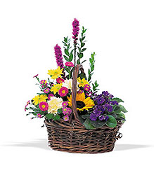 Basket of Glory from Olney's Flowers of Rome in Rome, NY