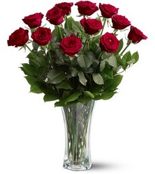 1 Dozen Roses from Olney's Flowers of Rome in Rome, NY