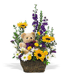 New Baby Basket & Bear from Olney's Flowers of Rome in Rome, NY